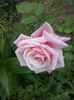 CAM00367