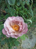CAM00379