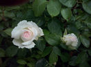 CAM00390