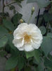 CAM00405