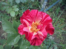CAM00409