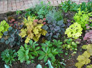 Elektra, Frosted violet, Caramel, Frosted Violet, Citronela