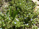 P1310185