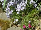 03 MAI (88)