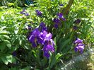 03 MAI (58)