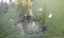 IMG-20180506-WA0014