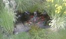 IMG-20180506-WA0012