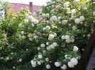 8 mai (39)