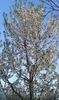 IMG-20180412-WA0015