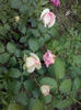 CAM00744