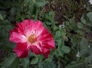 CAM00751