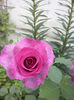 CAM00757