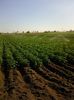 Photo0547
