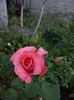CAM00836
