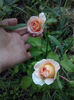 CAM00840