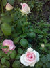 CAM00847