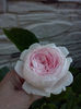 CAM00869