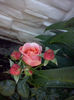 CAM00878