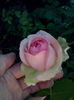 CAM00880