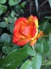 03A55CE1-A244-4CB1-8964-04A9D958F814