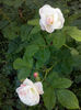 CAM00860