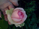 CAM00880