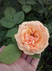 CAM00891