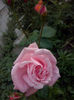 CAM00894