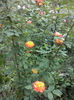 CAM00899
