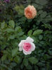 CAM00903