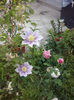 CAM00904