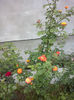 CAM00918