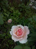 CAM00919