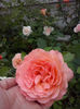 CAM00925