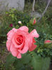 CAM00929
