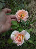 CAM00936