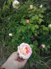 CAM00941