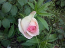 CAM00942