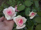 CAM00944