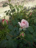 CAM00948