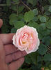 CAM00949