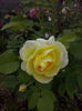 CAM00968