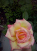 CAM00978