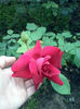 CAM00984