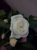CAM00993