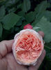 CAM00997