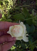 CAM01011