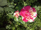 CAM01013
