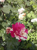 CAM01014