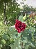 CAM01019